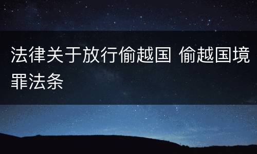 法律关于放行偷越国 偷越国境罪法条