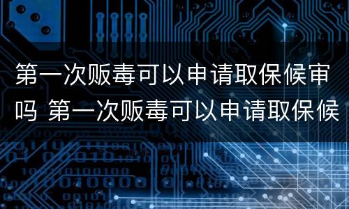第一次贩毒可以申请取保候审吗 第一次贩毒可以申请取保候审吗