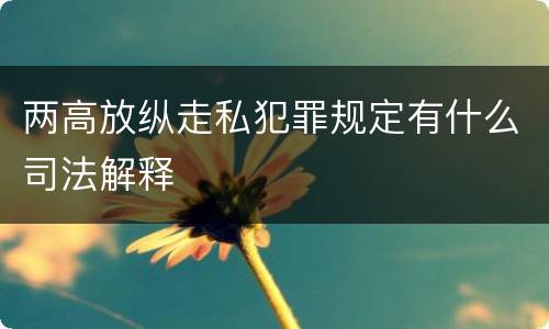 两高放纵走私犯罪规定有什么司法解释