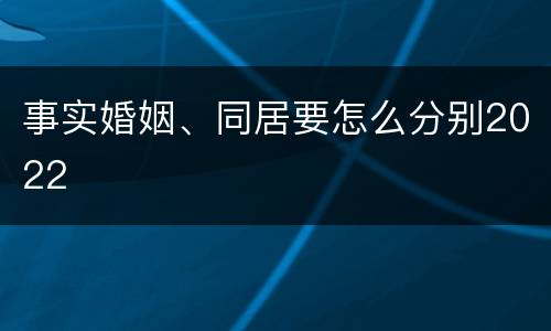 事实婚姻、同居要怎么分别2022