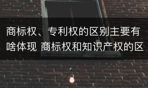 商标权、专利权的区别主要有啥体现 商标权和知识产权的区别