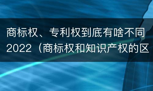 商标权、专利权到底有啥不同2022（商标权和知识产权的区别）