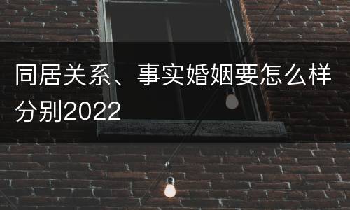 同居关系、事实婚姻要怎么样分别2022