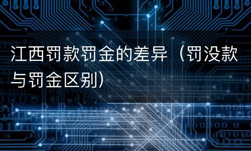 江西罚款罚金的差异（罚没款与罚金区别）