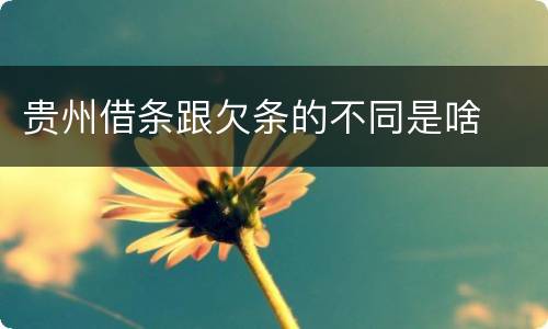 贵州借条跟欠条的不同是啥