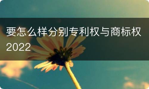 要怎么样分别专利权与商标权2022