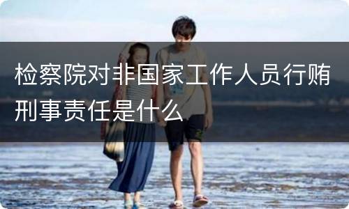 检察院对非国家工作人员行贿刑事责任是什么