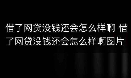 借了网贷没钱还会怎么样啊 借了网贷没钱还会怎么样啊图片