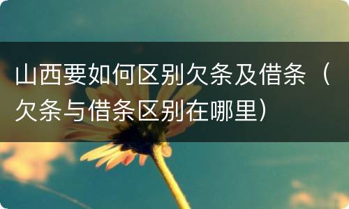 山西要如何区别欠条及借条（欠条与借条区别在哪里）