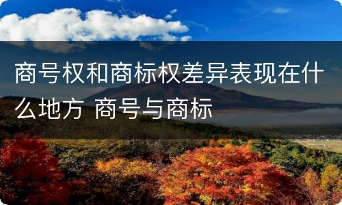 商号权和商标权差异表现在什么地方 商号与商标