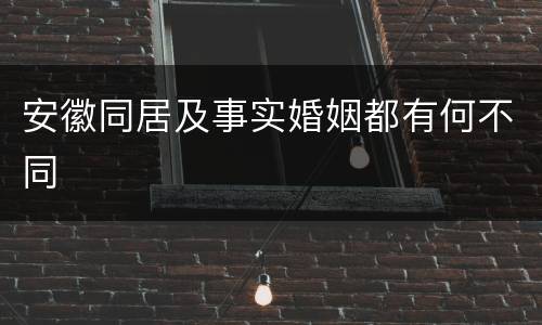 安徽同居及事实婚姻都有何不同