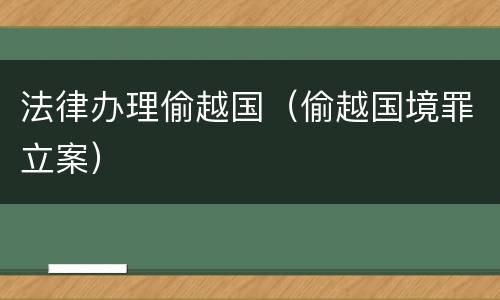 法律办理偷越国（偷越国境罪立案）