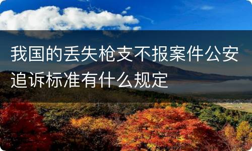 我国的丢失枪支不报案件公安追诉标准有什么规定
