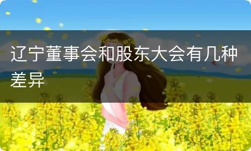 辽宁董事会和股东大会有几种差异