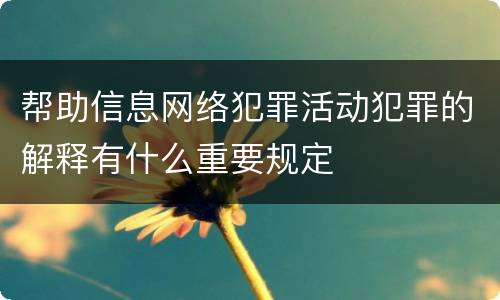 帮助信息网络犯罪活动犯罪的解释有什么重要规定