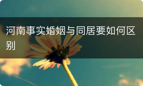 河南事实婚姻与同居要如何区别