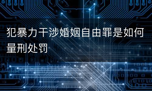 犯暴力干涉婚姻自由罪是如何量刑处罚
