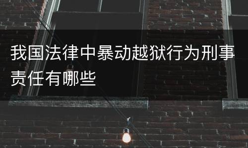 我国法律中暴动越狱行为刑事责任有哪些