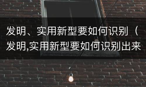 发明、实用新型要如何识别（发明,实用新型要如何识别出来）