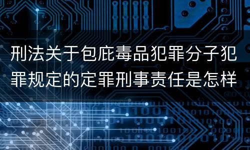 刑法关于包庇毒品犯罪分子犯罪规定的定罪刑事责任是怎样的