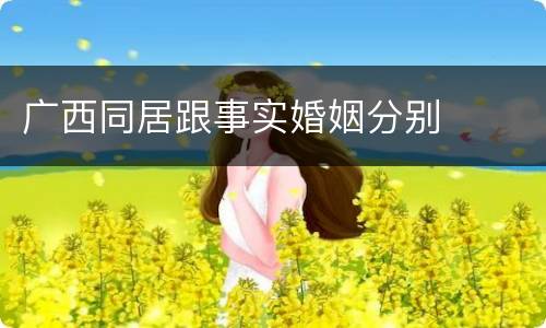 广西同居跟事实婚姻分别