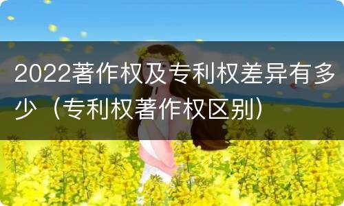 2022著作权及专利权差异有多少（专利权著作权区别）