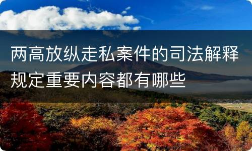两高放纵走私案件的司法解释规定重要内容都有哪些