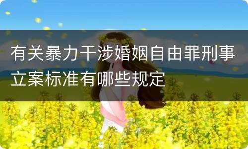 有关暴力干涉婚姻自由罪刑事立案标准有哪些规定