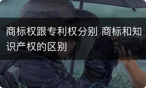 商标权跟专利权分别 商标和知识产权的区别