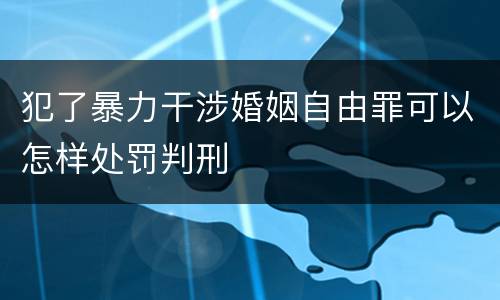 犯了暴力干涉婚姻自由罪可以怎样处罚判刑
