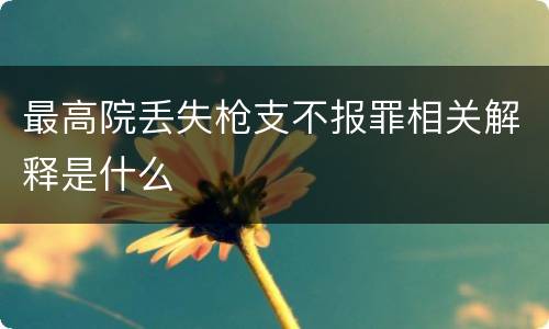 最高院丢失枪支不报罪相关解释是什么