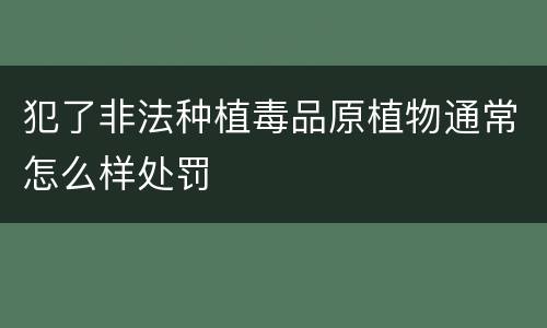 犯了非法种植毒品原植物通常怎么样处罚