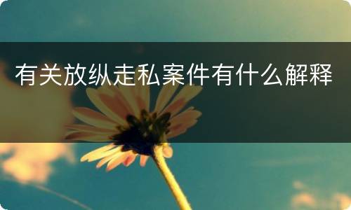 有关放纵走私案件有什么解释