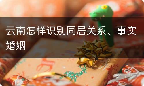 云南怎样识别同居关系、事实婚姻