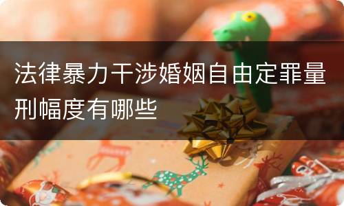 法律暴力干涉婚姻自由定罪量刑幅度有哪些
