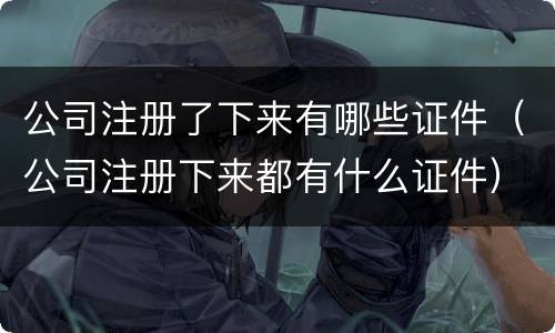 公司注册了下来有哪些证件（公司注册下来都有什么证件）