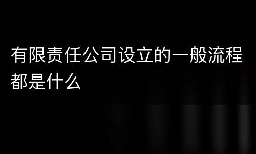 有限责任公司设立的一般流程都是什么