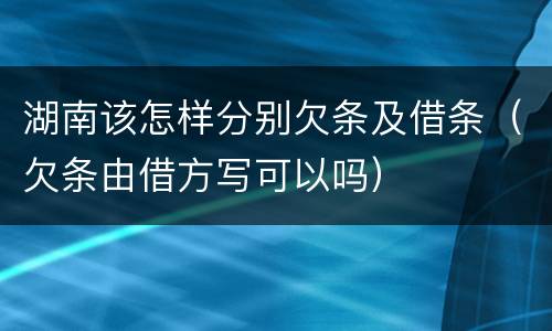 湖南该怎样分别欠条及借条（欠条由借方写可以吗）