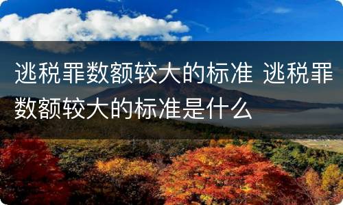 逃税罪数额较大的标准 逃税罪数额较大的标准是什么