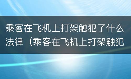 乘客在飞机上打架触犯了什么法律（乘客在飞机上打架触犯了什么法律责任）
