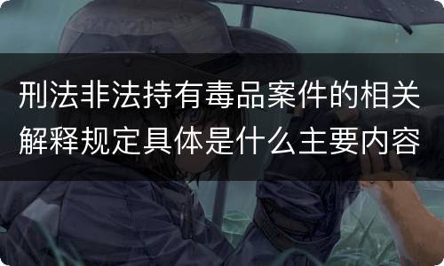 刑法非法持有毒品案件的相关解释规定具体是什么主要内容