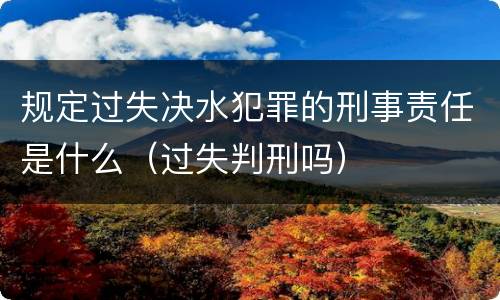 规定过失决水犯罪的刑事责任是什么（过失判刑吗）