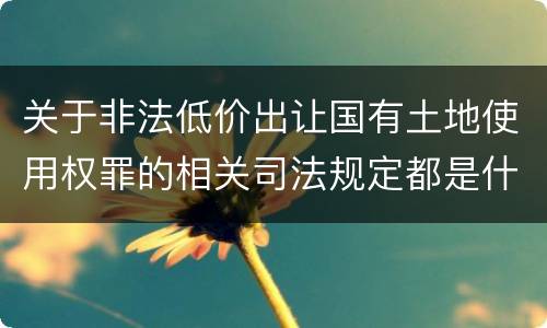 关于非法低价出让国有土地使用权罪的相关司法规定都是什么