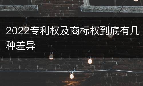 2022专利权及商标权到底有几种差异
