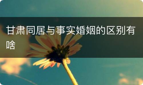 甘肃同居与事实婚姻的区别有啥