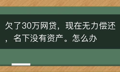 欠了30万网贷，现在无力偿还，名下没有资产。怎么办