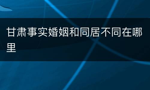 甘肃事实婚姻和同居不同在哪里