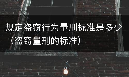 规定盗窃行为量刑标准是多少（盗窃量刑的标准）