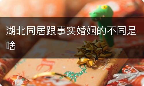 湖北同居跟事实婚姻的不同是啥