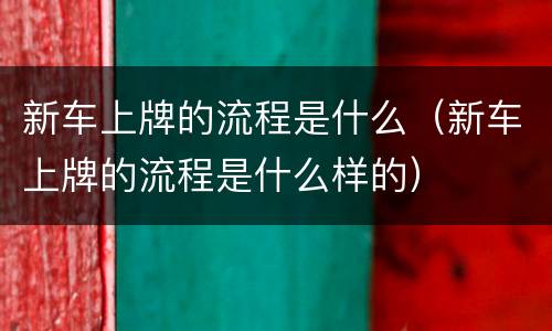 新车上牌的流程是什么（新车上牌的流程是什么样的）